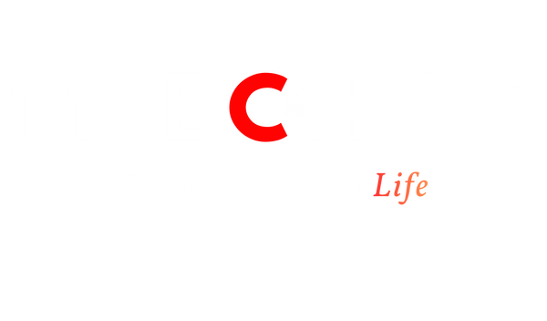11 Echos